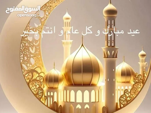 سجاد احمد