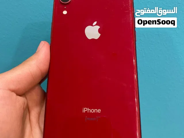 Apple iPhone XR 128 GB in Muscat