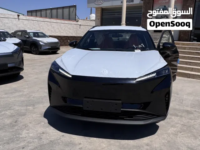 2027 دونج فينج سكاي EV01