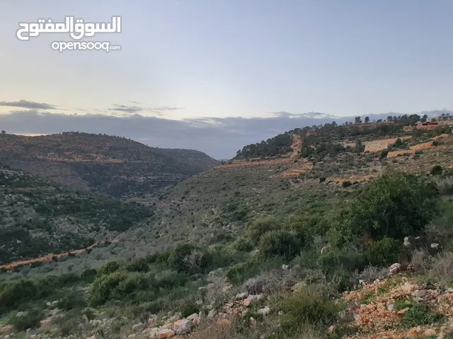 Residential Land for Sale in Ramallah and Al-Bireh Birzeit