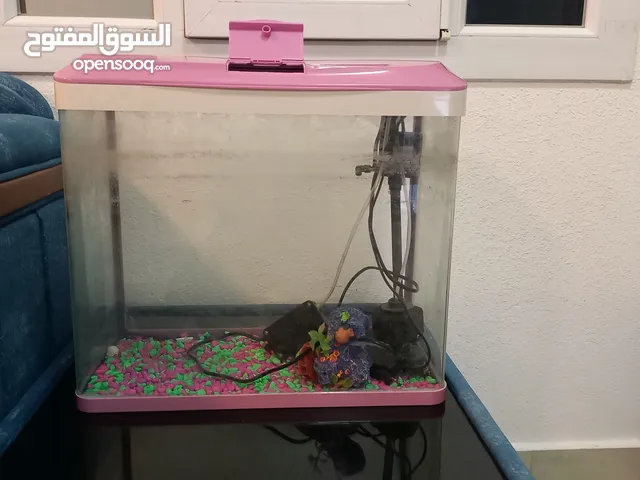 حوض أسماك مستعمل بجميع ملحقاته