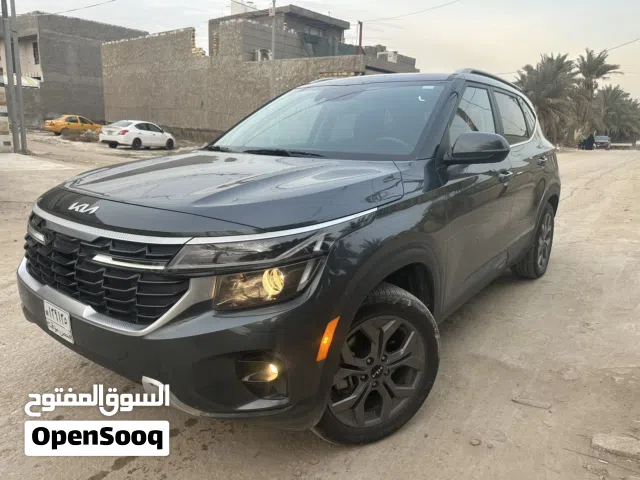 سيلتوس للبيع 2024