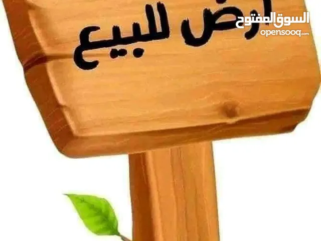 أرض على الطريق الساحلي مباشرة في طمينة للبيع