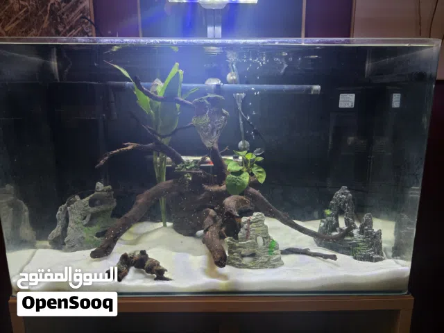 حوض سمك مستعمل