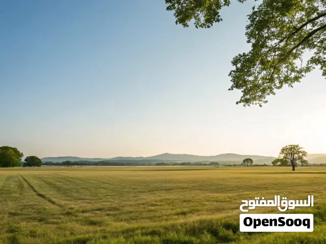 ارض لبيع في ارض الحراسة مساحة 300 متر مياه و الضي قريبة من الرئيسي سكنية او تجارية شهادة عقارية