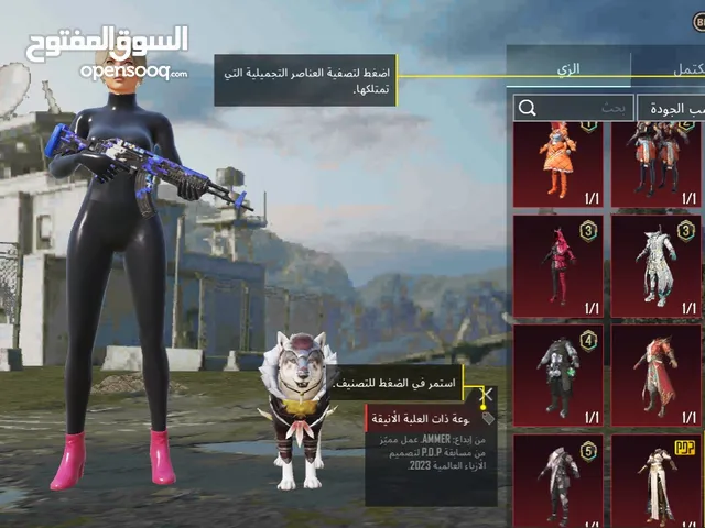 Pubg Accounts and Characters for Sale in Irbid