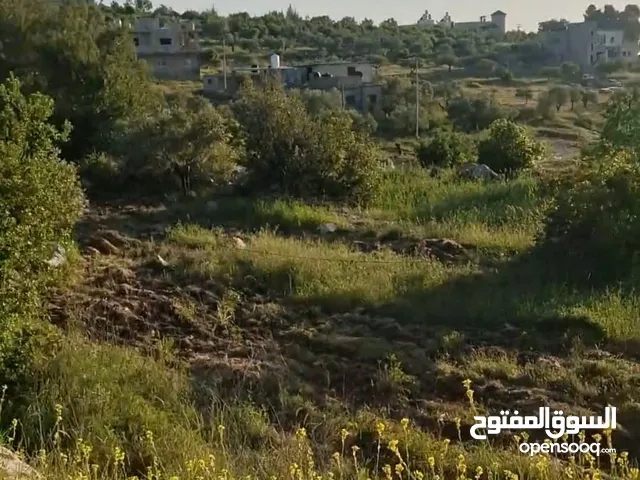 Residential Land for Sale in Ramallah and Al-Bireh Kafr Ni'ma
