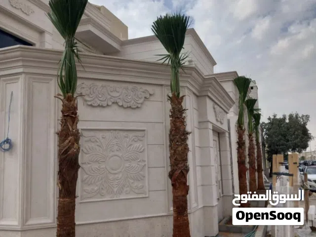 يتوفر لدينا جميع انواع النخيل العربي والواشنطني قلع_نقل_زراعه_تك اشجار زينه تواصل معي عبر سوق مفتوح