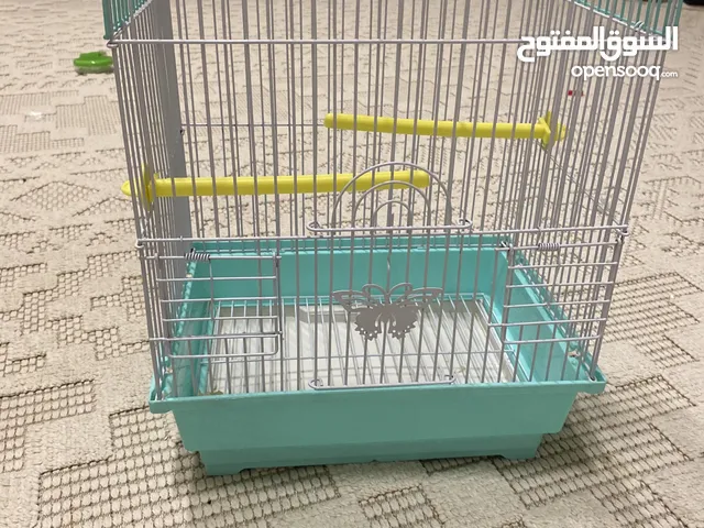 قفص نضيف للطيور الصغيره