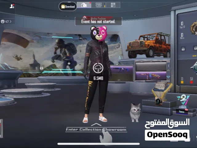 Pubg Accounts and Characters for Sale in Amman