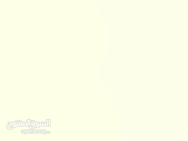 فراخ للبيع عمر ثلاث اشهر
