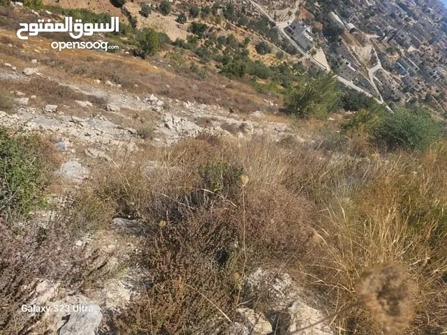 Mixed Use Land for Sale in Ramallah and Al-Bireh Abu Qash