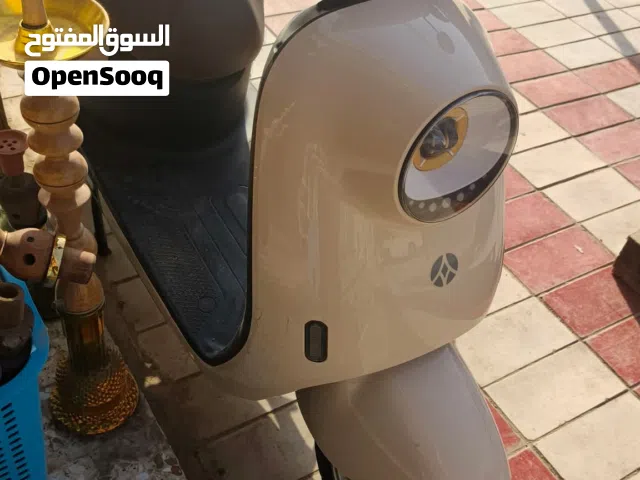 2025 اخرى اخرى
