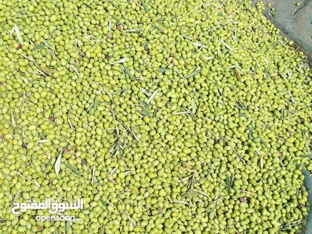 زيت بكر 10لتر