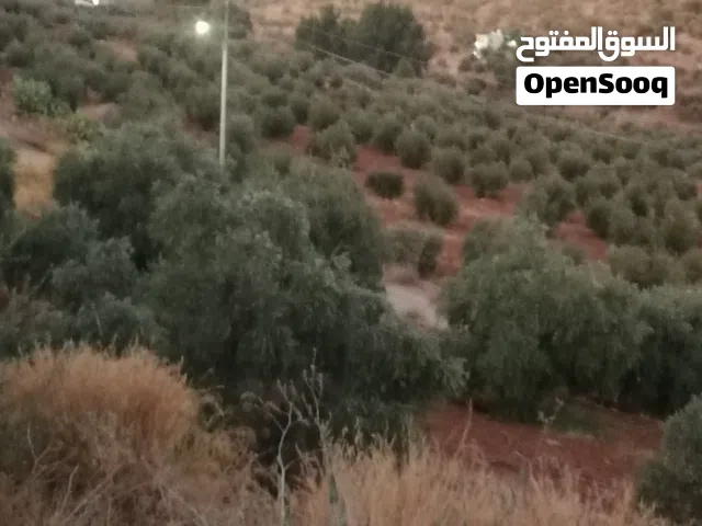 أرض زراعيه 3400 مترللبيع