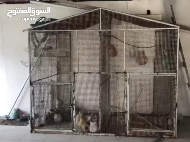 للبيع قفص طيور مع 3 راعبي وجميع ملحقاته