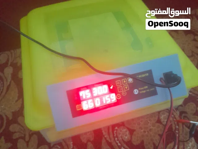 توكلنا علي الله حضانه  الله يبارك