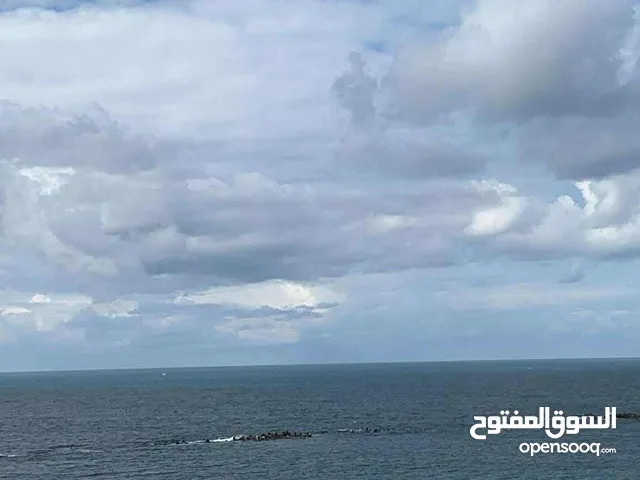 سيدي بشر علي البحر مباشره