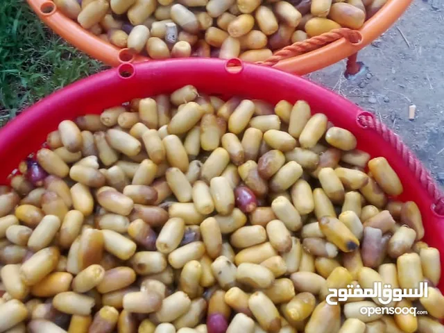 يتوفر رطب النغال ورطب خنيزي ع حسب لكميه