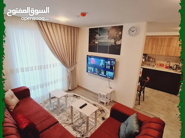 87 m2 1 Bedroom Apartments for Rent in Erbil Sarbasti