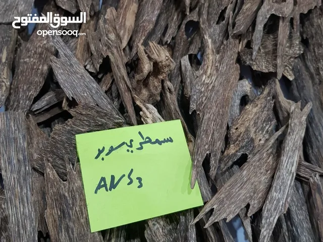 هل تبحث عن التفرد والحداثة .. إليك أجود أنواع العود السومطري من شركة المحيط