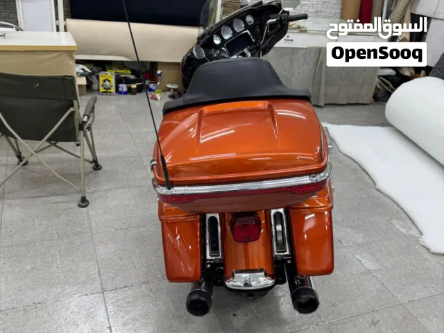 2019 Harley Davidson Other