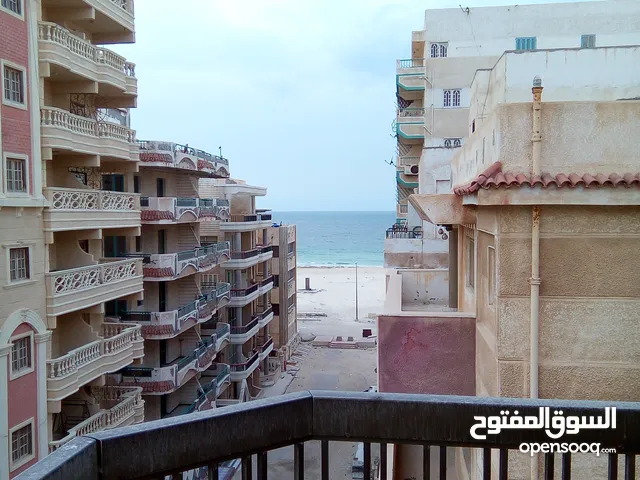 شقة بالروف في شاطئ النخيل/ بالعجمي للبيع أو للبدل بشقة في القاهرة أو الإسكندرية