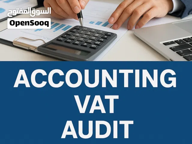 Professional Accounting and Auditing services