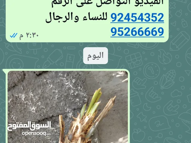 صرمة فحل من الزين ع 5 ريال