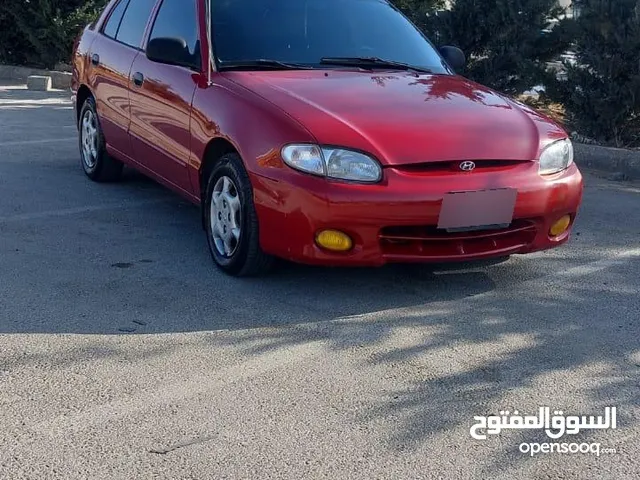 اكسنت اتوماتيك قصه الدب