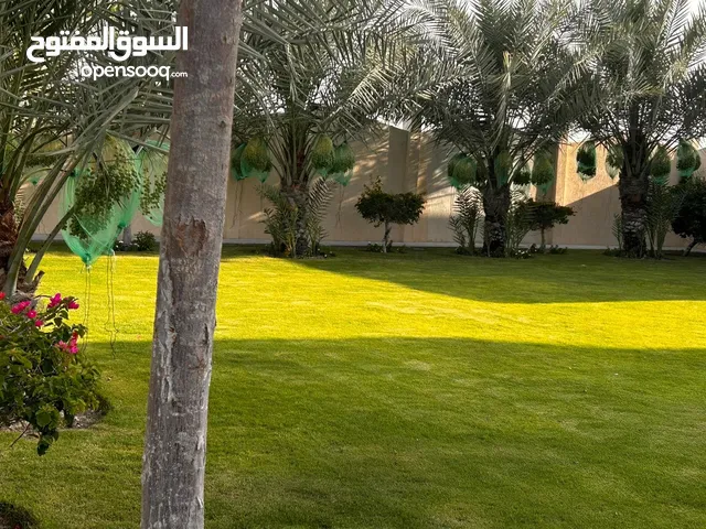زراعه وديكور وعمل شبكات الري العادي والاتماتيكي