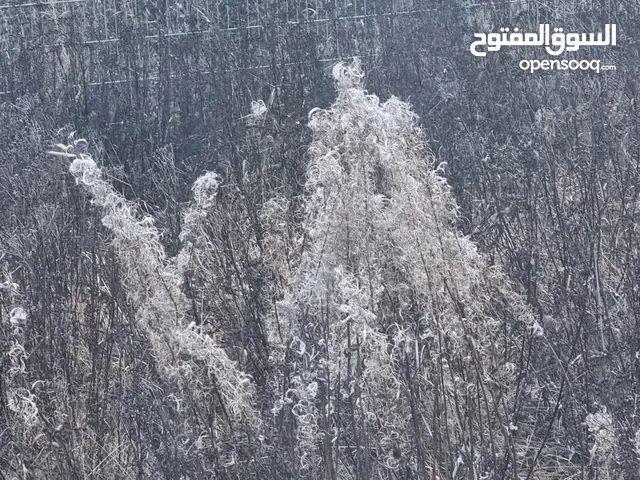 شركة تجارة عامة للتنازل