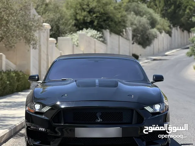 2019 mustang