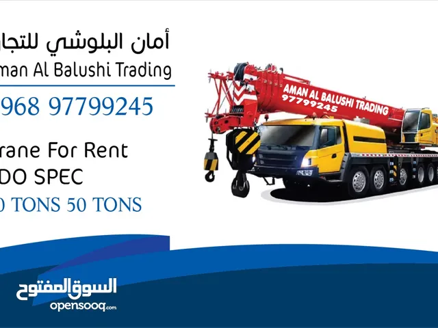 Crane for Rent 80 tin