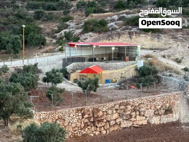 قطعة أرض مميزة في دورا - كريسة