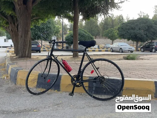 Classic style bicycle for sale