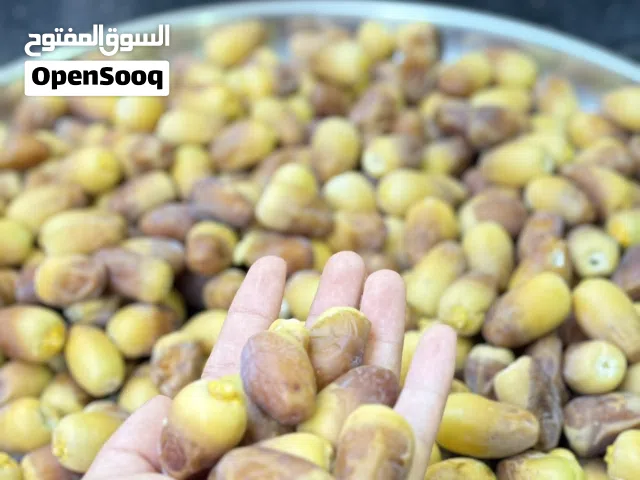 نخيل خلاص +2بو نارنجه + نشو ابو سيف