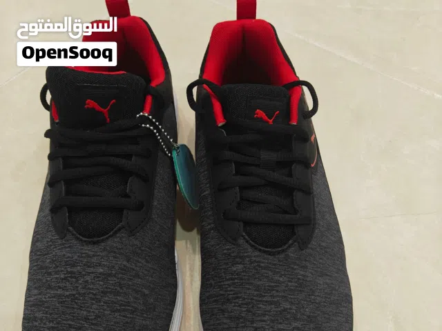 حذاء رياضي بوما Puma جديد لون رمادي