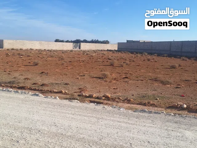 هكتار للبيع الطلحية شارع الغاز