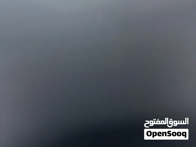 خيل عربيه أصيله عمره 6 حامل شهر 8 لونه احمر او اشقر السعر