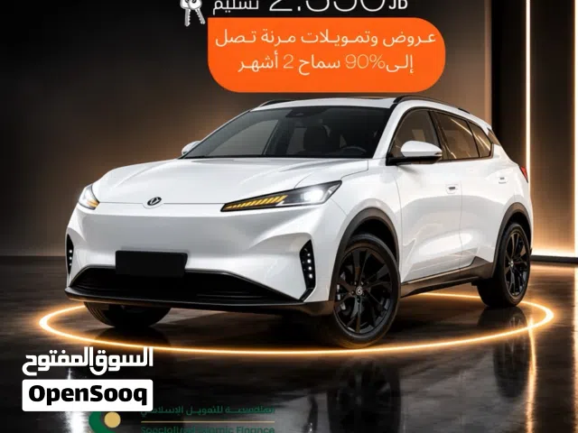 2027 دونج فينج ميج EV