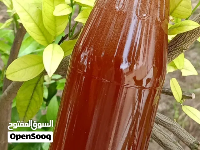 عسل السدر العماني   الوصف مهم جداً