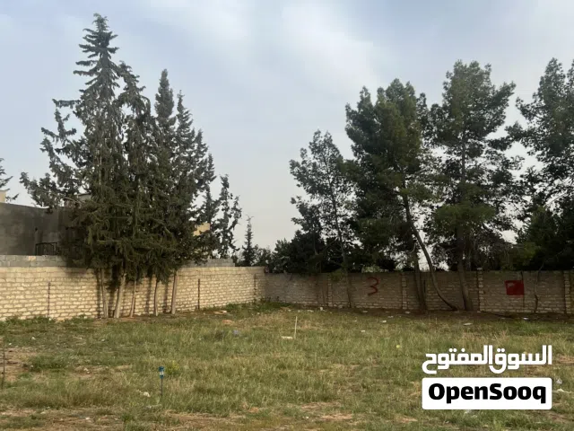 Residential Land for Sale in Tripoli Ain Zara