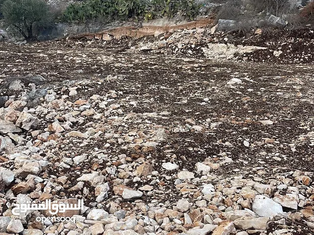 أرض للبيع في جنوب غرب كفرراعي على شارع رئيسي واصل جميع الخدمات