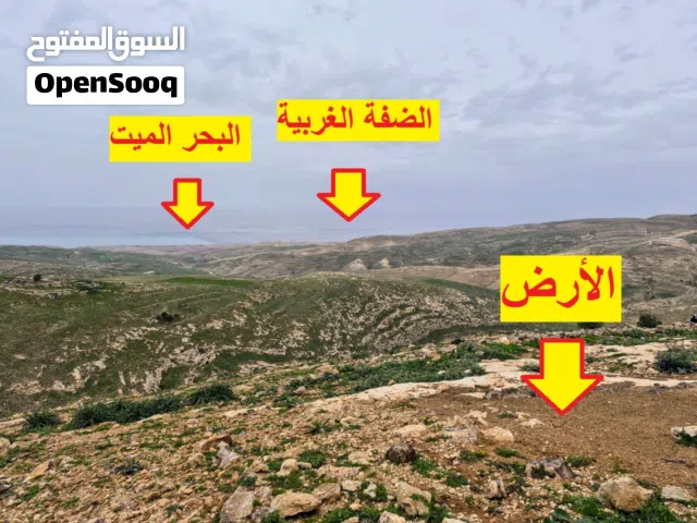 Farm Land for Sale in Madaba Mai'n