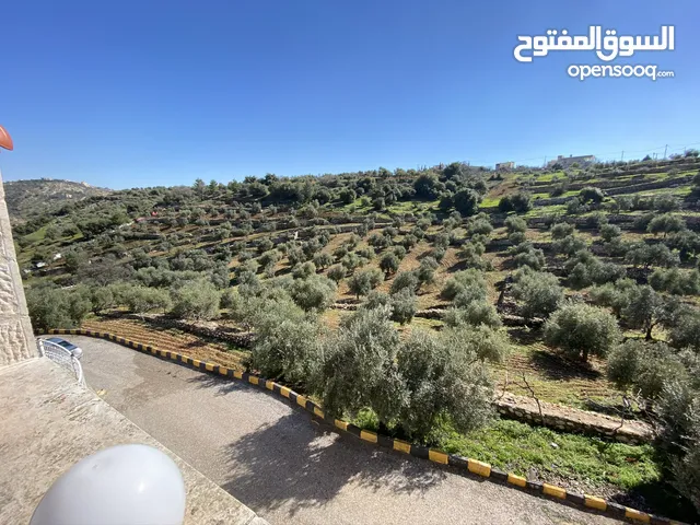 3 Bedrooms Farms for Sale in Amman Badr Jdedeh