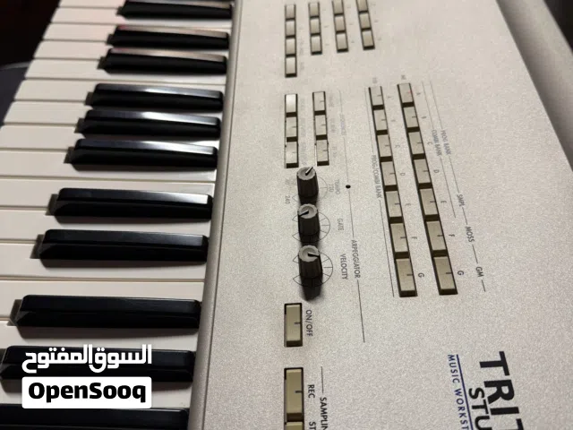 Korg triton studio