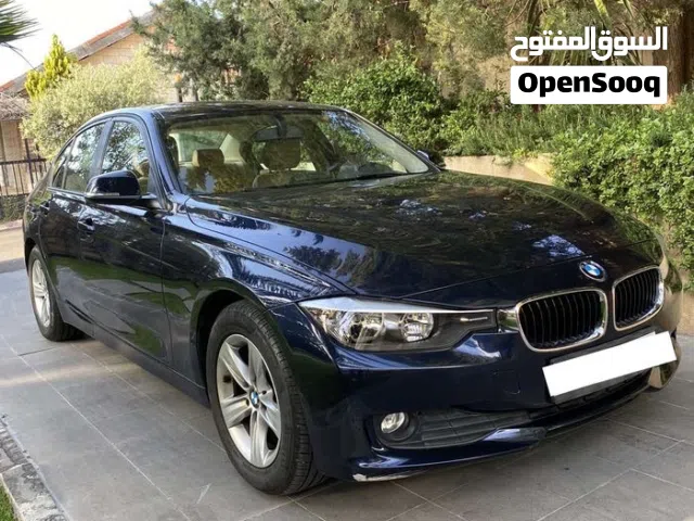 2013, BMW, 3 Series, 316