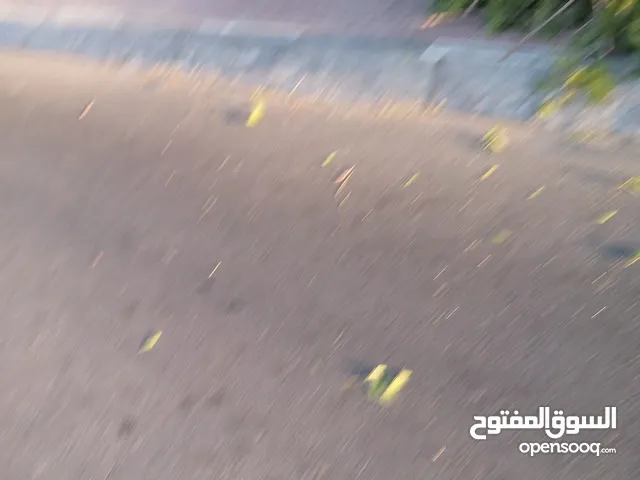 ارض زراعيه جوار الترعه حلفاء ج