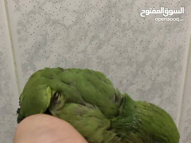 متو للبيع اليف جدا قابل لتفاوض
